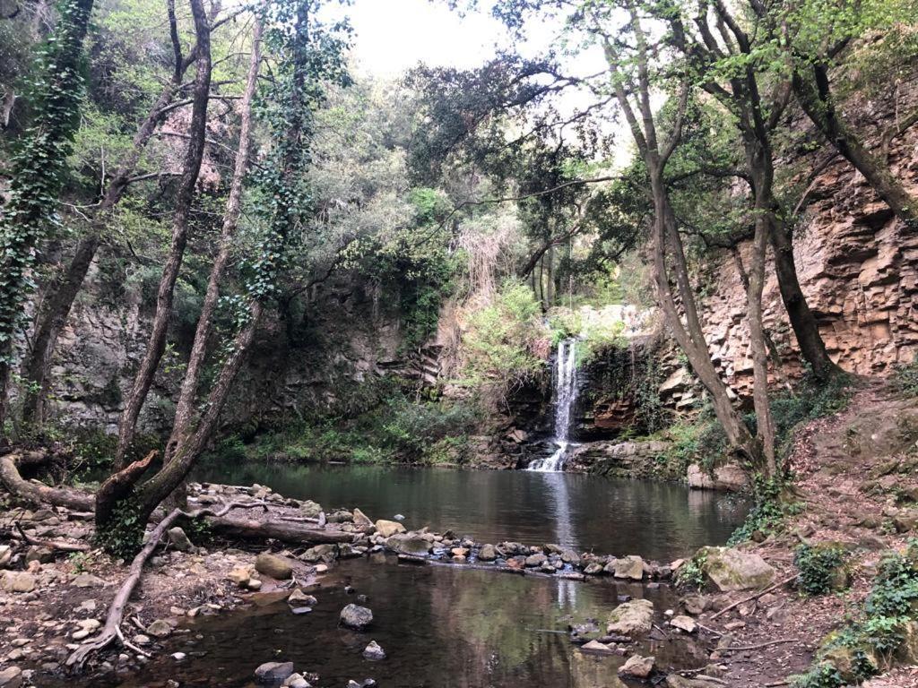 Guest House Villa Di Judighes Cerveteri Dış mekan fotoğraf